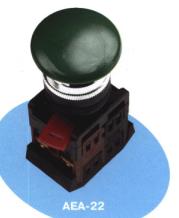 АЕА-22 — внешний вид