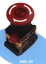 ANE-22 — внешний вид